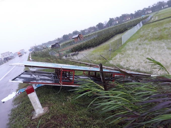 Các bảng quảng cáo ven đưởng tỉnh Bình Định gãy đổ