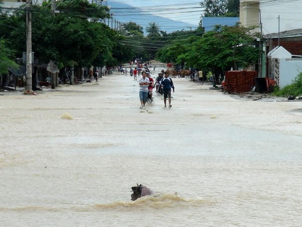 Nước lũ trên các sông đang tiếp tục lên nhanh, cần đề phòng xảy ra lũ quét trên sông. Ảnh: minh họa/Nguồn: TTXVN