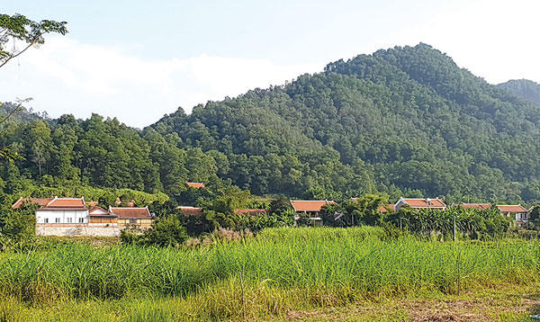 Một góc khu Điền Viên Thôn trong rừng Mu nhìn từ xa.