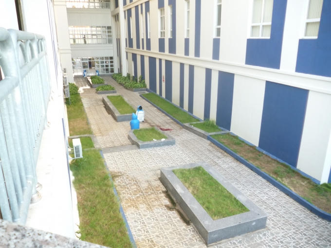 Vị trí nam thanh niên nhảy xuống đất.