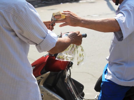 Cào cào non được bán với giá siêu rẻ, chỉ 5.000 đồng 3 bịch.