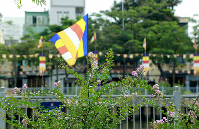 Cờ hoa cùng khoe sắc.