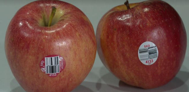 Các loại tem chỉ dán cho có vì không thể truy xuất nguồn gốc