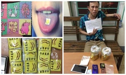 Đối tượng vận chuyển hơn 1kg ma túy đá và “đông trùng” bị Công an Quảng Ninh bắt giữ.