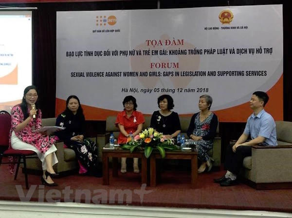 Các chuyên gia cho ý kiến về khoảng trống pháp lý trong xử lý các hành vi bạo lực tình dục. (Ảnh: PV/Vietnam+)