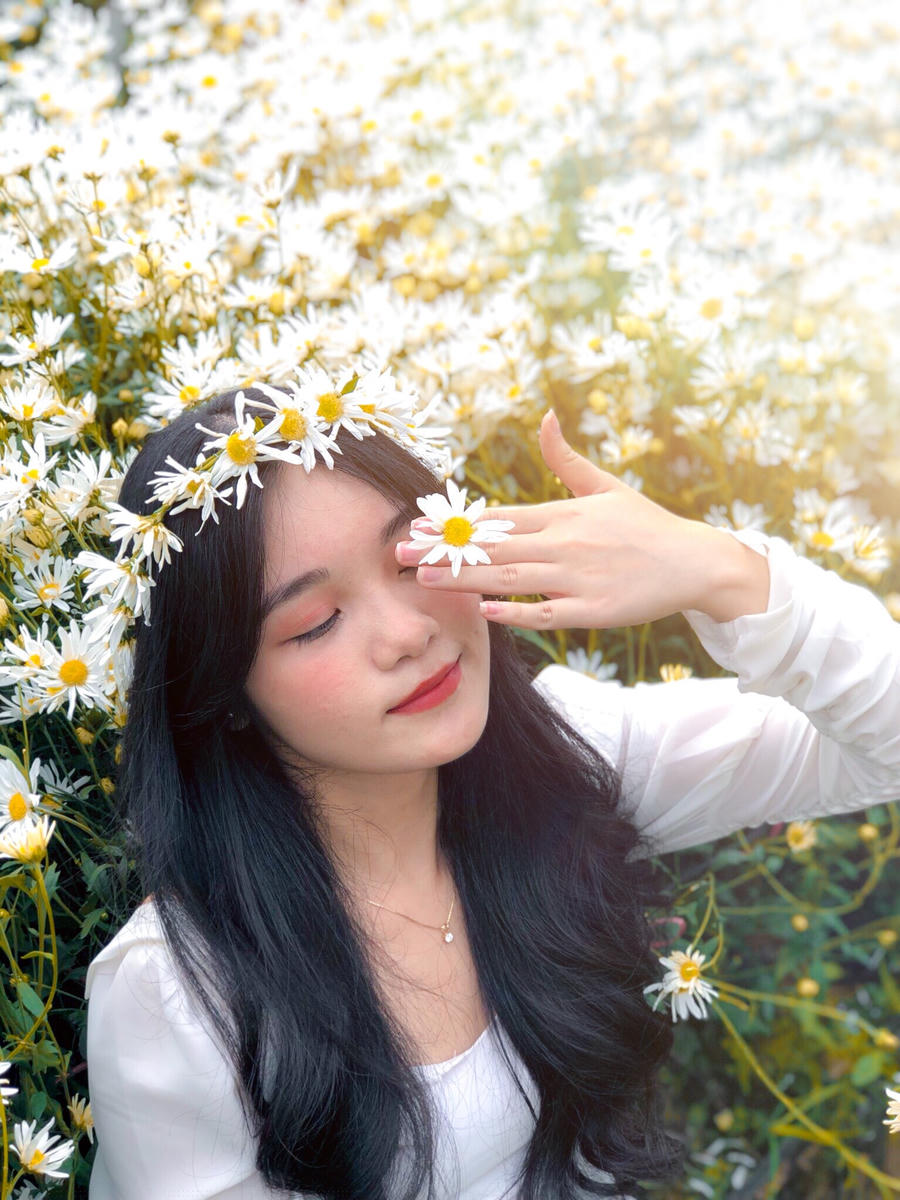 Dưới ánh nắng vàng ít ỏi đầu đông, Hà Nội như tình hơn khi xuất hiện cúc hoạ mi.