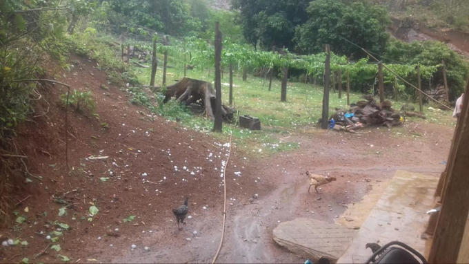 Mưa đá ở Mộc Châu (Sơn La) vào chiều nay.