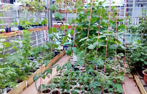 Anh chia sẻ, túi vải không dệt thường làm từ nhựa PE khá an toàn, còn vải địa có thể chọn loại làm từ PE/HPDE để đảm bảo.