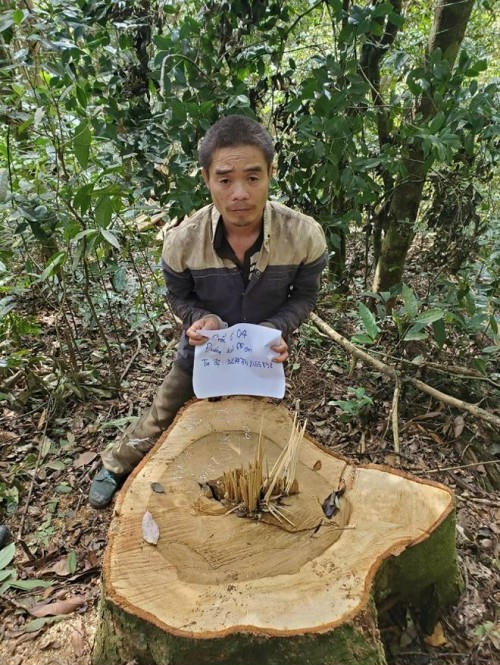 c55d40a1e4e10dbf54f0