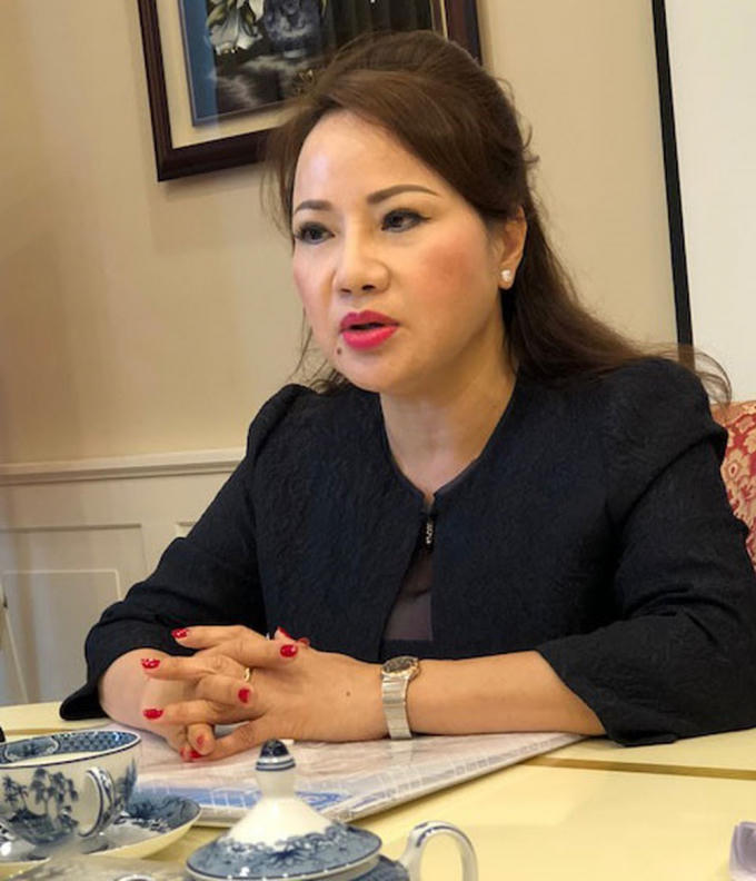 Bà Chu Thị Bình trong một lần họp báo.