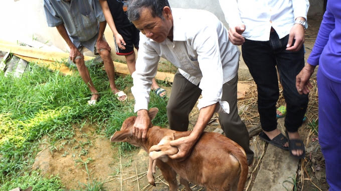 Nghệ An: H&agrave;ng trăm người k&eacute;o nhau đi xem con b&ecirc;... 7 ch&acirc;n