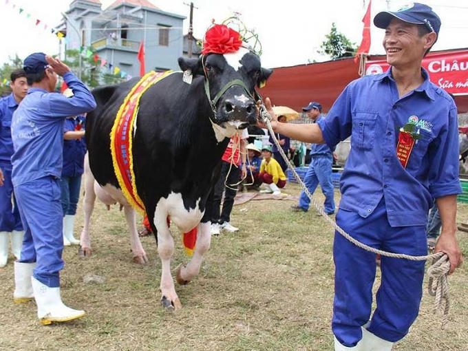 Vinamilk muốn sữa Mộc Châu về chung một nhà để cùng mạnh lên. Ảnh: TL