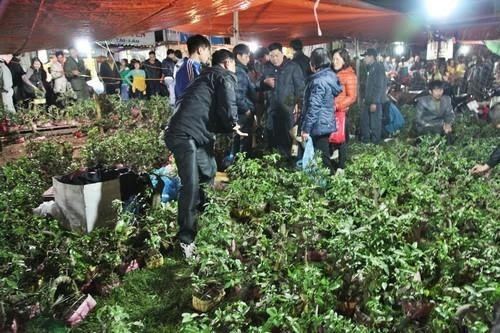 Cây cảnh là mặt hàng không thể thiếu tại chợ Viềng.