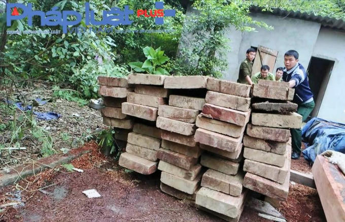 H&agrave; Giang: Cần l&agrave;m r&otilde; h&agrave;nh vi khai th&aacute;c gỗ nghiến tr&aacute;i ph&eacute;p của trưởng th&ocirc;n T&acirc;n Sơn