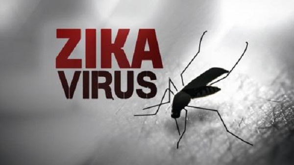 Khánh Hòa và TP HCM công bố hết dịch do virus Zika. Ảnh: minh họa