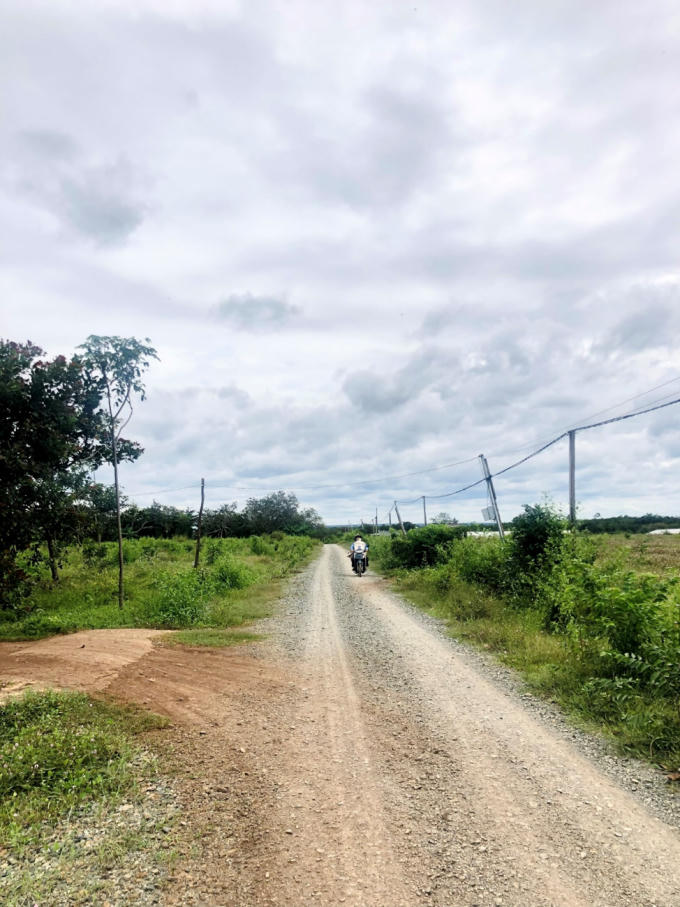 Hiện trạng con đường được dải đá dài hơn 2 km đi ngang qua thửa đất.