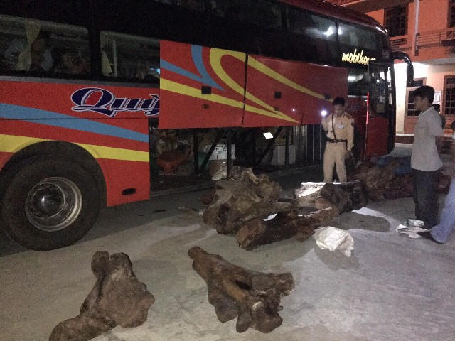 Tang vật thu giữ sau khi t&agrave;i xế xe kh&ocirc;ng xuất tr&igrave;nh được giấy tờ. Ảnh: CA Quảng Nam.