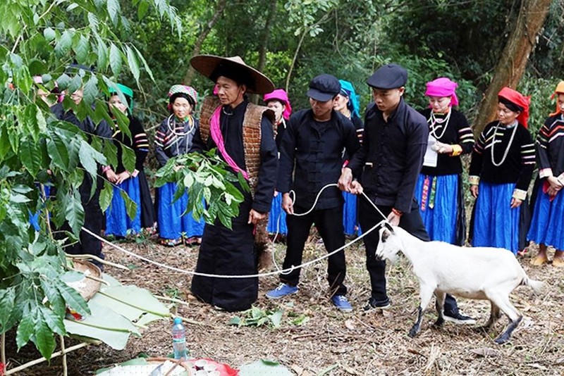 Lễ hiến sinh dê của người Pu Péo.