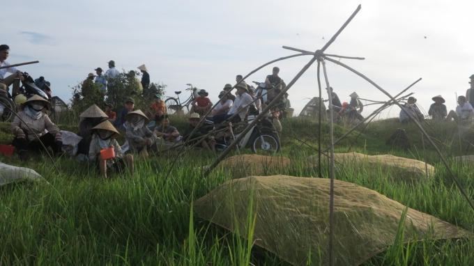 Đợi giờ... "sung trận".