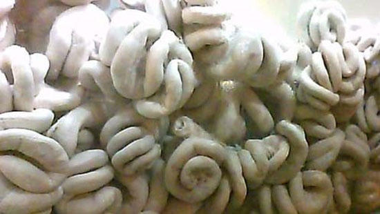 Lòng heo sau khi được "phù phép" sẽ nở to hơn bình thường. Ảnh: Internet