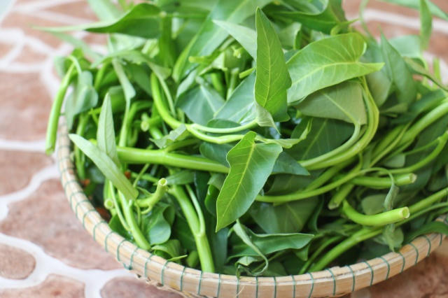 Theo Đông y, rau muống có vị ngọt, nhạt, tính mát, có tác dụng thanh nhiệt, giải độc, lợi tiểu, nhuận tràng, chữa rôm sảy, mụn nhọt... Ảnh: minh họa