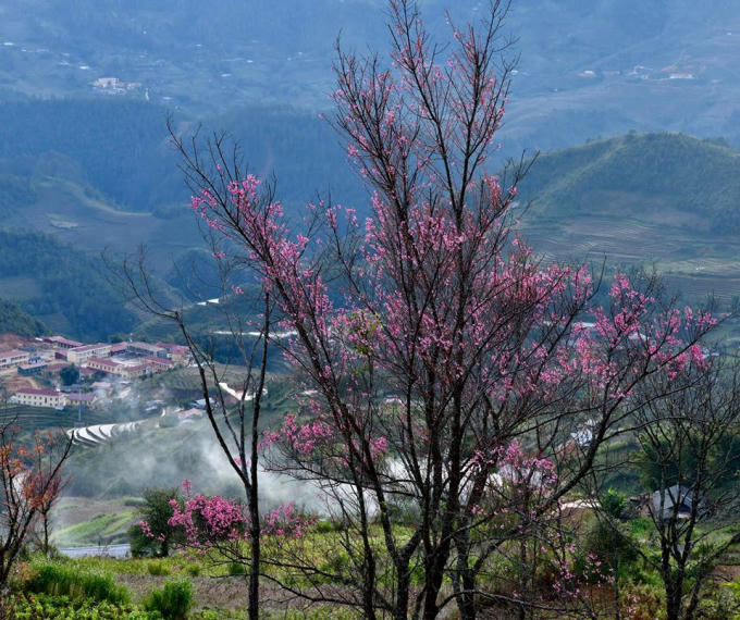Những ngày này đến La Pán Tẩn, ngắm hoa Tớ Dày, trải nghiệm cái lạnh của núi rừng Tây Bắc, đắm chìm trong những làn sương mù, nghe tiếng khèn lá, khèn môi du dương thì không còn gì tuyệt vời hơn.