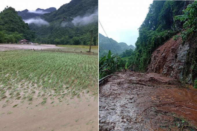 101314514_3614922565190709_4462312934072183360_n