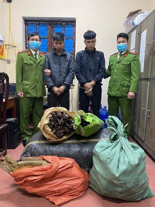 270076493_410446270834342_7004478969291972785_n