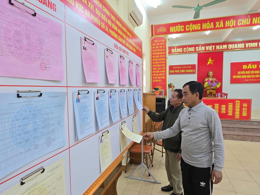 Cử tri tìm hiểu tiểu sử, chương trình hành động của các ứng cử viên được niêm yết tại khu vực bỏ phiếu.