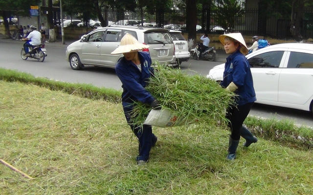 Hà Nội: Công nhân chật vật cắt cỏ dại trên phố