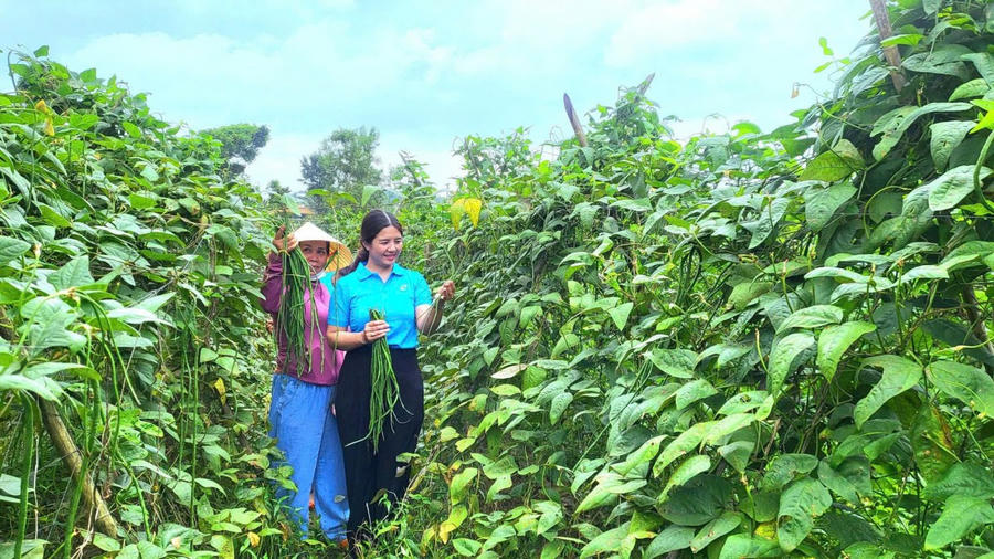 Người dân xã Bom Bo chú trọng phát triển nông nghiệp, góp phần tăng thu nhập, ổn định cuộc sống.