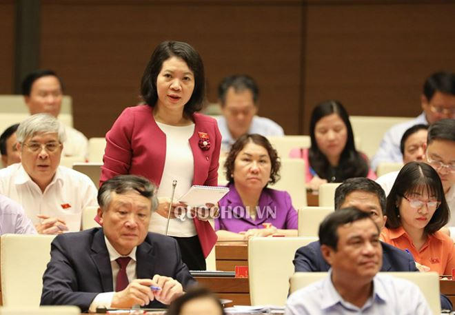 ĐB Mai Thị Phương Hoa (Nam Định) đặt c&acirc;u hỏi.