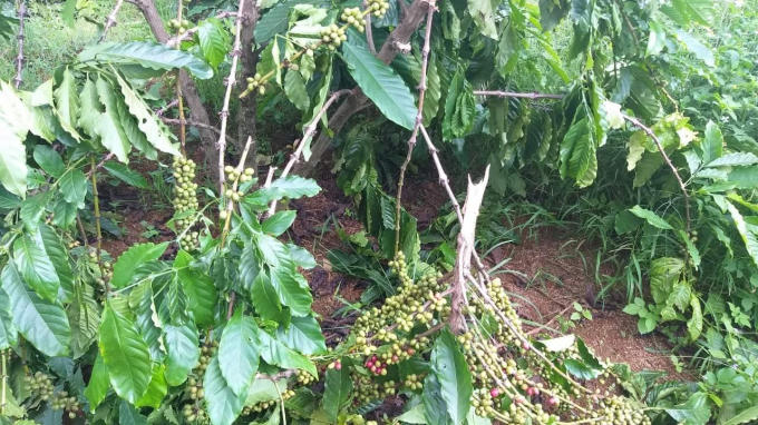 received_369708430933485.