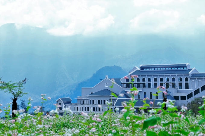 Những thảm tam giác mạch sẽ chuyển màu kỳ diệu, tạo nên bức tranh lập thể đa sắc giữa khung cảnh núi rừng Hoàng Liên Sơn hùng vĩ, thơ mộng.