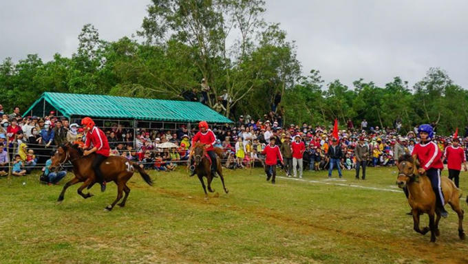 Những kỵ mã phi nước đại trên đường đua.