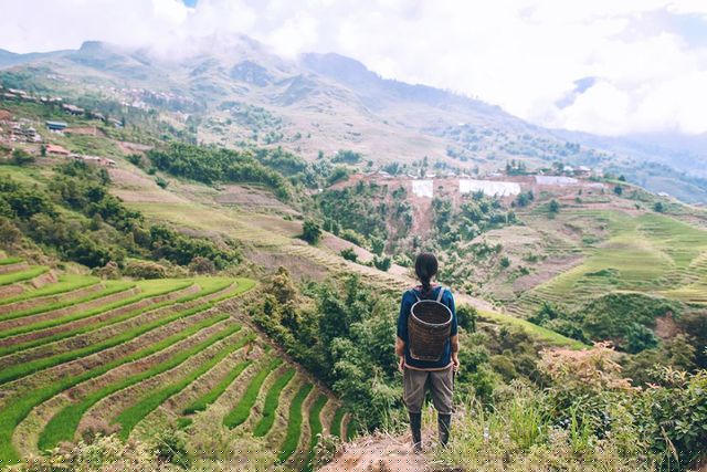 “Nếu trong nhà luôn có đủ 3 thứ: Dầu ăn, muối, gạo… thì rất ít khi mình phải đi chợ, cần đến tiền. Thỉnh thoảng vào mùa thu hoạch, bà con trong bản lại mang cho gùi sắn, ngô, khoai, bí, đậu…, cần thêm gì thì ra nương rẫy lấy, chỉ sợ ăn không hết, chứ không thiếu bao giờ”, Tâm An cười nói.