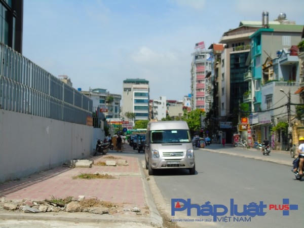 Hơn 20 cây xanh tại phố Trần Bình đã được nhổ bỏ.