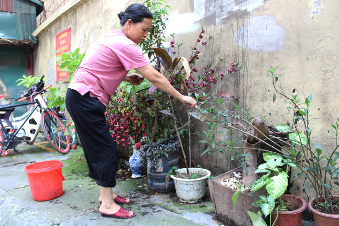 Hàng ngày người dân sinh sống cạnh đây vẫn mang nước ra tưới và chăm sóc khiến cây cối trở nên tươi tắn và sống tốt hơn.