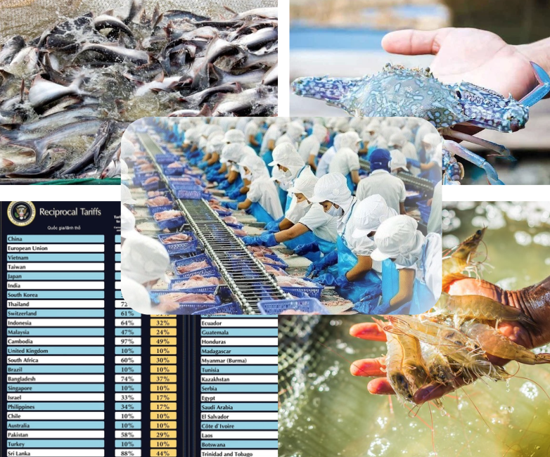 Ngành thuỷ sản Việt Nam năm 2025 xen kẽ giữa cơ hội và thách thức, ngành thủy sản đã chứng kiến những chuyển động chính sách quan trọng.