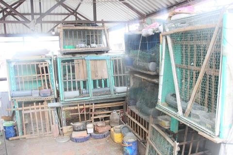 Hệ thống chuồng trại trên tần thượng của gia đình bà L. (Khâm Thiên, Hà Nội).