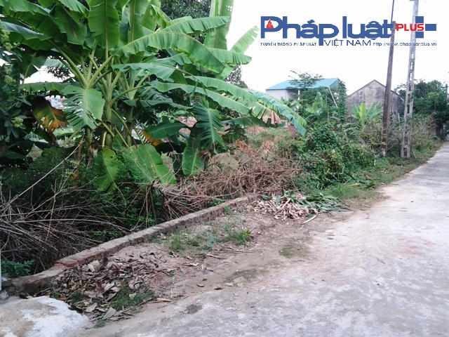 Chủ cũ của mảnh đất không trả nợ và bàn giao đất cho ngân hàng (Ảnh: Đào Tấn)