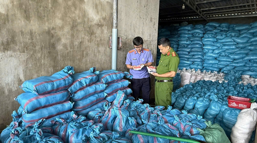 Số muối I-ốt giả được phát hiện tại công ty của bà Ơn.