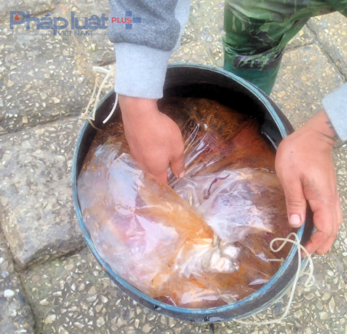 Những thùng chất thải tẩy rửa hải sản độc hại được cho là nguyên nhân gây chết hằng trăm tấn ngao. (Ảnh: Anh Thắng).