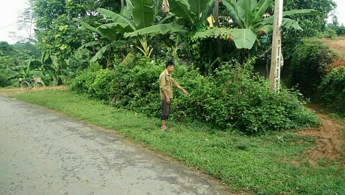 Địa điểm nơi xảy ra xô xát và mắt ông Thụ có nguy cơ bị hỏng do Hùng đánh.