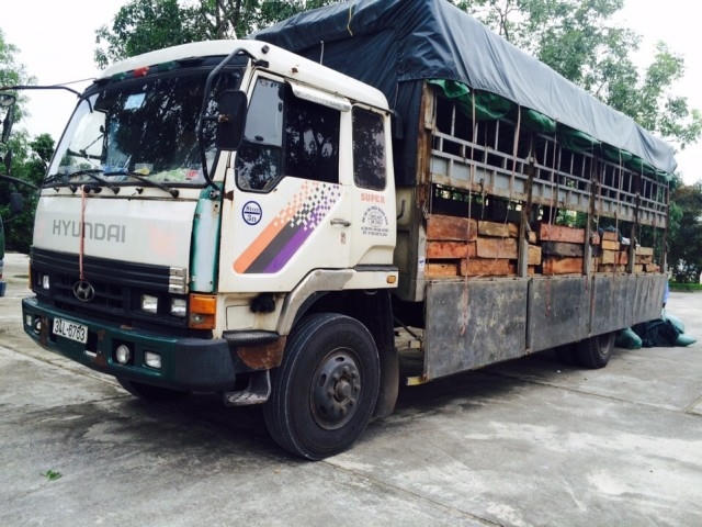 Toàn bộ số gỗ trái phép được CSGT Thanh Hóa bàn giao cơ quan chức năng xử lý. (Ảnh: CSGT Thanh Hóa cung cấp).