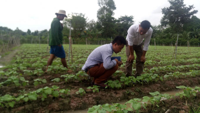 Sản phẩm của Winwintech đang được thử nghiệm tr&ecirc;n ch&iacute;nh những c&aacute;nh đồng của người n&ocirc;ng d&acirc;n.