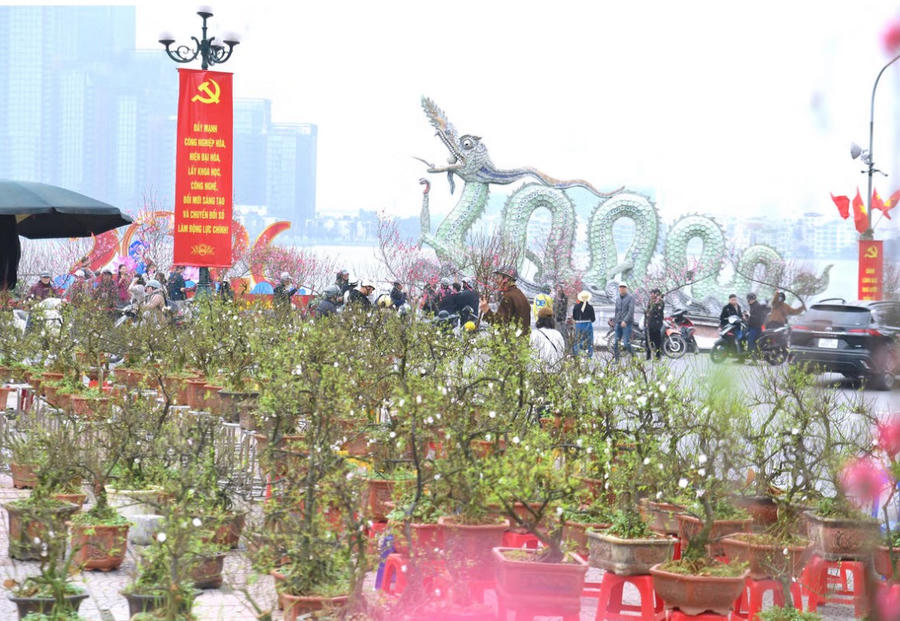 Một thoáng hoa bên hồ Tây.