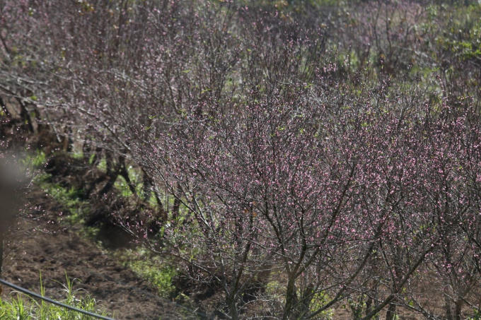 266455171_1071129807012540_3750150550714495422_n