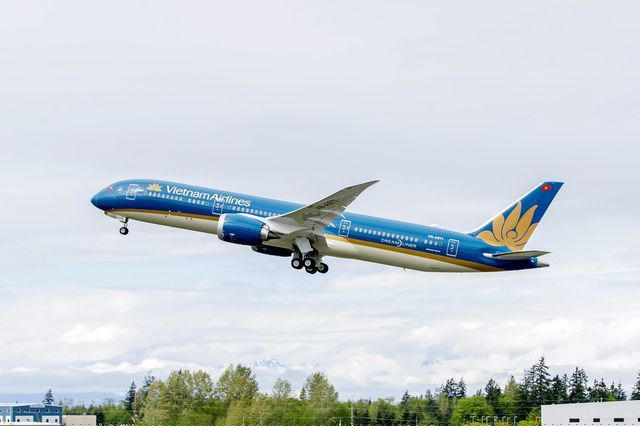 30% phi công đội bay Boeing 787 của Vietnam Airlines bị hãng mới thu hút.