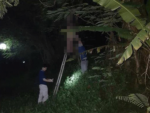 Nạn nhân treo cổ trên cây cao. Ảnh: T.Q.